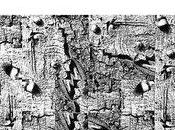 soleil vient d'en face, d'Emmanuelle Favier (éd. Rhubarbe)