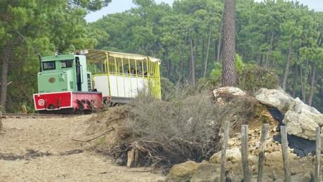 Un train de Toussaint