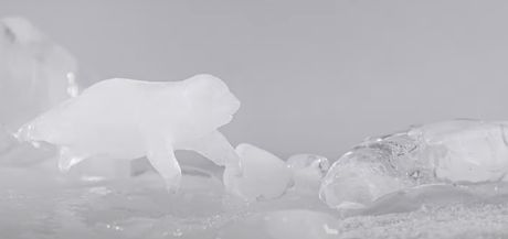 WWF dévoile un stop motion fait avec de la glace pour alerter sur le climat