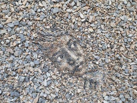 Portraits de galets par Justin Bateman