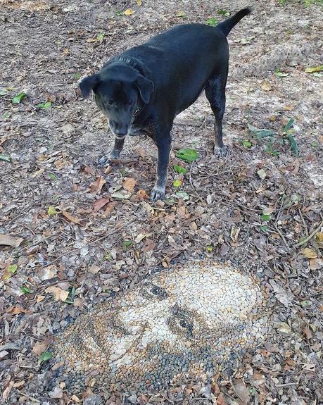 Portraits de galets par Justin Bateman