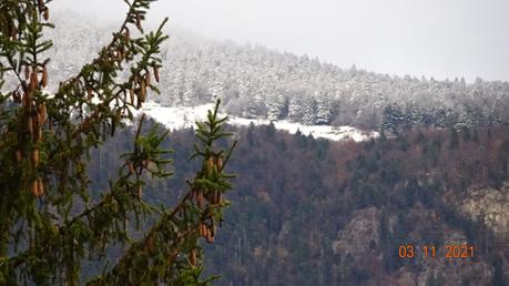 La France - Premières photos de neige