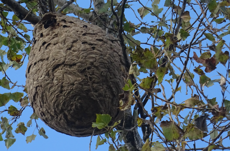 Architexture Architexture