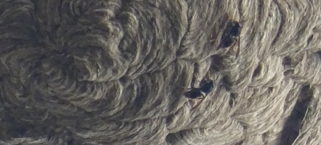 Architexture Architexture