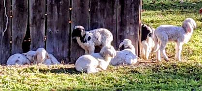 Garmisch-Partenkirchen 2021 — 33 Fotos Herbstliche Eindrücke / Impressions automnales 33 photographies