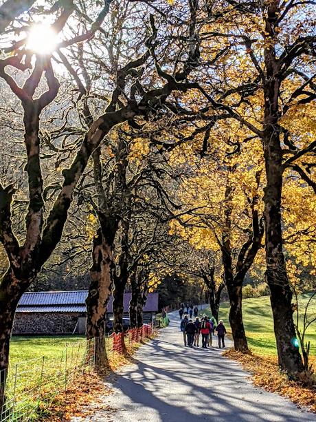 Garmisch-Partenkirchen 2021 — 33 Fotos Herbstliche Eindrücke / Impressions automnales 33 photographies