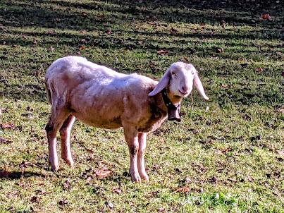 Garmisch-Partenkirchen 2021 — 33 Fotos Herbstliche Eindrücke / Impressions automnales 33 photographies