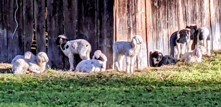 Garmisch-Partenkirchen 2021 — 33 Fotos Herbstliche Eindrücke / Impressions automnales 33 photographies