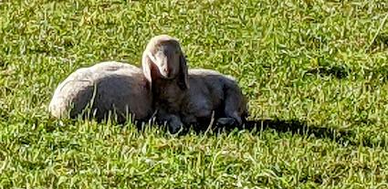 Garmisch-Partenkirchen 2021 — 33 Fotos Herbstliche Eindrücke / Impressions automnales 33 photographies