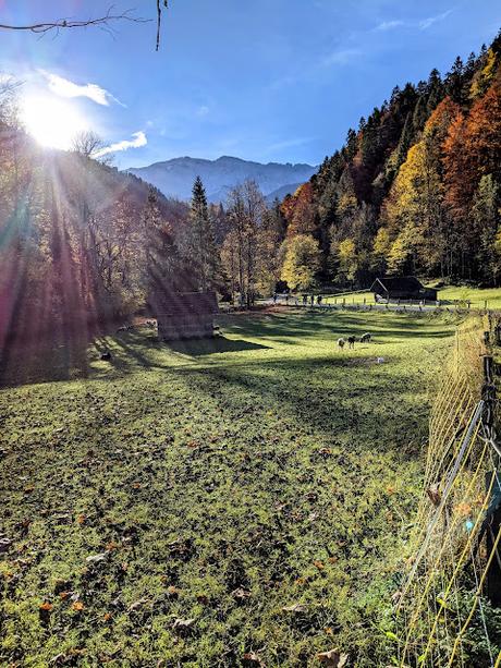 Garmisch-Partenkirchen 2021 — 33 Fotos Herbstliche Eindrücke / Impressions automnales 33 photographies