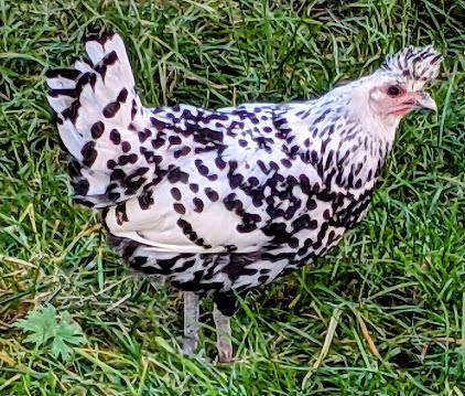 Garmisch-Partenkirchen 2021 — 33 Fotos Herbstliche Eindrücke / Impressions automnales 33 photographies