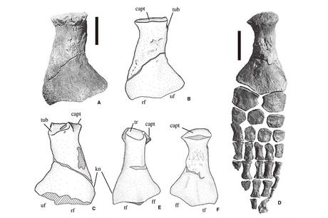 Get 33 医学部 スケッチ コツ Paperblog Get 33 医学部 スケッチ コツ Paperblog