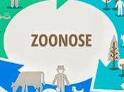 Contre pandémies, l’écologie