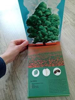 A la découverte des Pop-up docs aux éditions Milan A la découverte des Pop-up docs aux éditions Milan