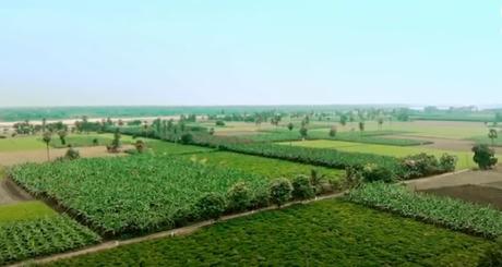Un programme de cours d'agroécologie mis en place en Inde par la FAO