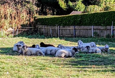 Auf den Höhen von Partenkirchen  — 35 Bilder / 35 photos — Sur les hauteurs de Partenkirchen