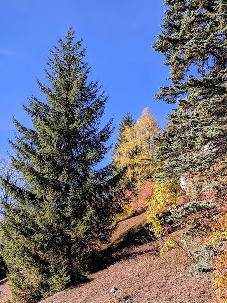 Auf den Höhen von Partenkirchen  — 35 Bilder / 35 photos — Sur les hauteurs de Partenkirchen