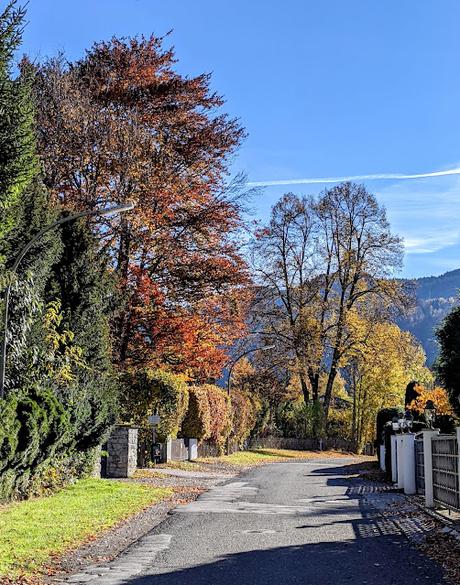 Auf den Höhen von Partenkirchen  — 35 Bilder / 35 photos — Sur les hauteurs de Partenkirchen