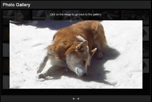 Creer une galerie photos avec MooTools