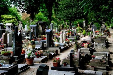 cimetière des chiens 002