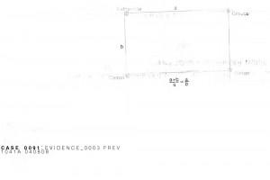 CASE 0091 : EVIDENCE 0003