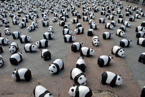 1600 pandas à Paris.