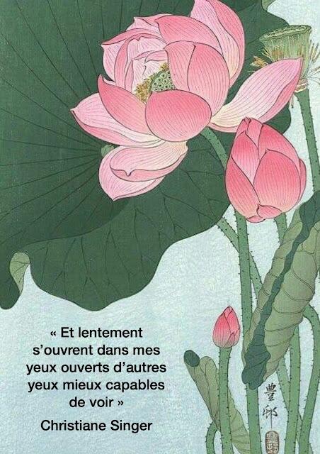 Voir autrement (conseil de l'hexagramme 20) Voir autrement (conseil de l'hexagramme 20)
