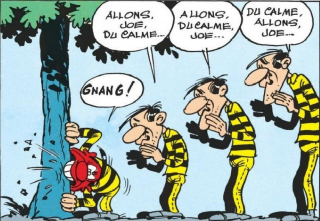 Tagada, voilà les rodéos des Daltons Tagada, voilà les rodéos des Daltons