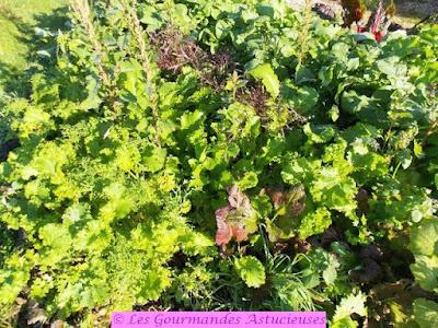 Chili sin carne à la courge (Vegan) Chili sin carne à la courge (Vegan)