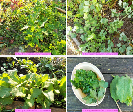 Chili sin carne à la courge (Vegan) Chili sin carne à la courge (Vegan)