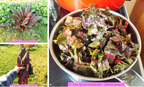 Chili sin carne à la courge (Vegan) Chili sin carne à la courge (Vegan)