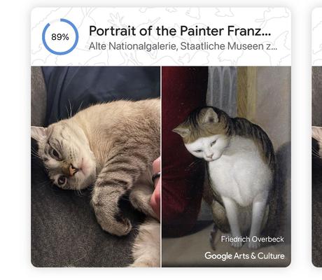 Les portraits d’animaux de Google vous permettent de trouver des sosies d’art pour votre ami à quatre pattes Les portraits d’animaux de Google vous permettent de trouver des sosies d’art pour votre ami à quatre pattes