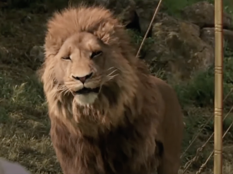 Les portraits d’animaux de Google vous permettent de trouver des sosies d’art pour votre ami à quatre pattes Les portraits d’animaux de Google vous permettent de trouver des sosies d’art pour votre ami à quatre pattes