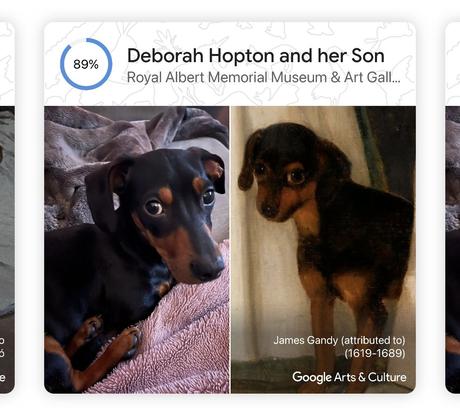 Les portraits d’animaux de Google vous permettent de trouver des sosies d’art pour votre ami à quatre pattes Les portraits d’animaux de Google vous permettent de trouver des sosies d’art pour votre ami à quatre pattes