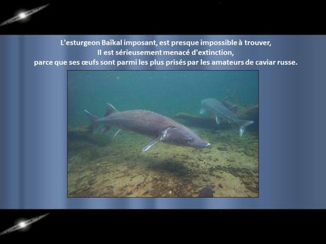 Sibérie - Le Lac Baïkal