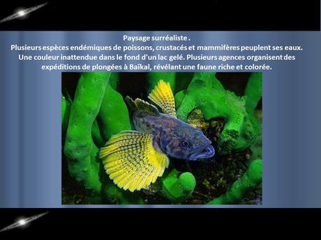 Sibérie - Le Lac Baïkal