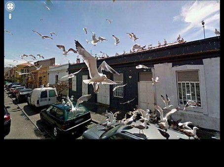 Divers  - Images insolites - 1