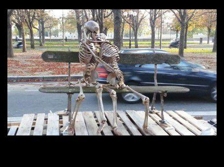 Divers  - Images insolites - 1