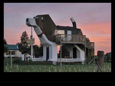 Divers  - Images insolites - 1