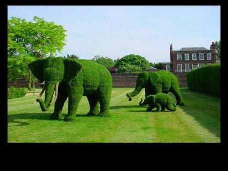 Divers  - Images insolites - 1