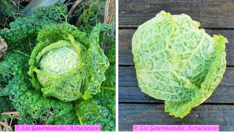 Chou frisé au tofu fumé maison à la bière (Vegan)