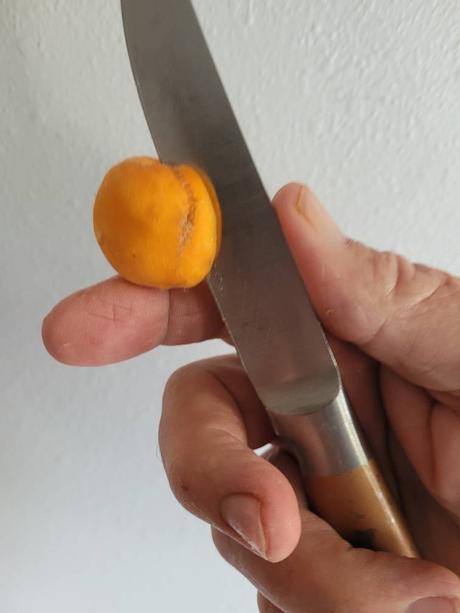 Comment déshydrater des abricots pour un encas d’été parfait ? abricots