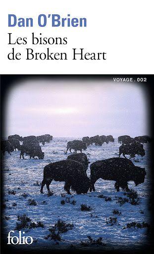 Les bisons de Broken Heart de Dan O'BRIEN