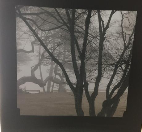 Centre Culturel Coréen   Expositions Novembre 2021