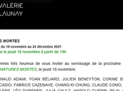 Galerie Valérie Delaunay Natures mortes 18/11 24/12/2021