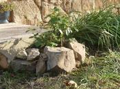 jardin week novembre