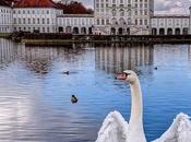 Cygnes, poésie Pierre Reynel, mise musique Sachs.