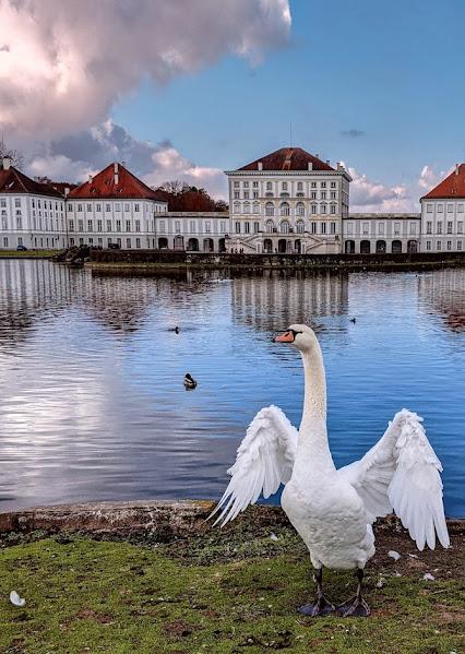 Les Cygnes, une poésie de Pierre Reynel, mise en musique par Léo Sachs. Les Cygnes, une poésie de Pierre Reynel, mise en musique par Léo Sachs.