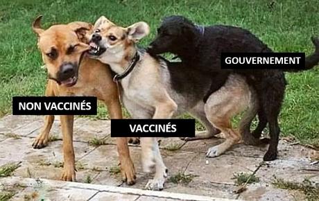 N’obéissez plus N’obéissez plus