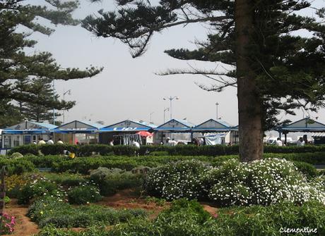 Voyage au Maroc - Fabrication d'huile d'argan et visite Essaouira Voyage au Maroc - Fabrication d'huile d'argan et visite Essaouira